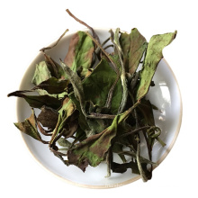 Organic Shou Mei Longevity Eyebrow tea White Tea